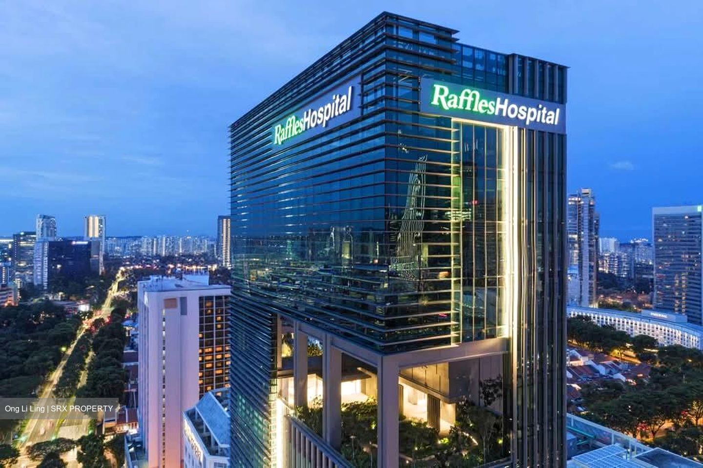 Raffles Hospital (D7), Retail #586612951